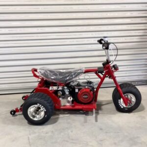 mini trike three wheeler for sale