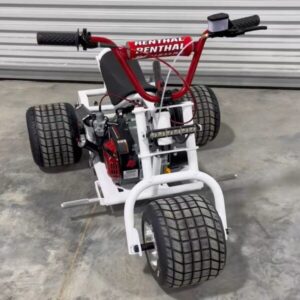 mini trike for sale